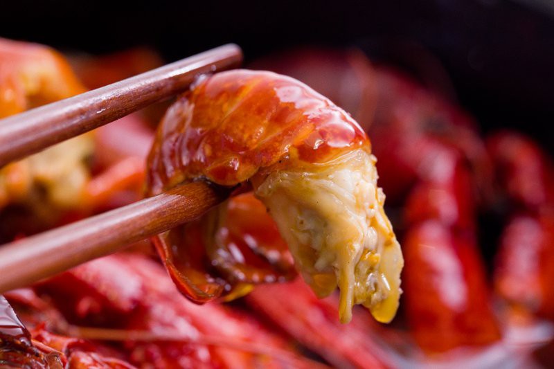 興文龍魚店【興文縣有沒有龍魚店】