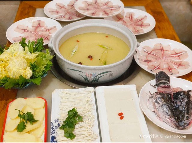 江油龍魚店【江油龍魚店哪家口碑最好】