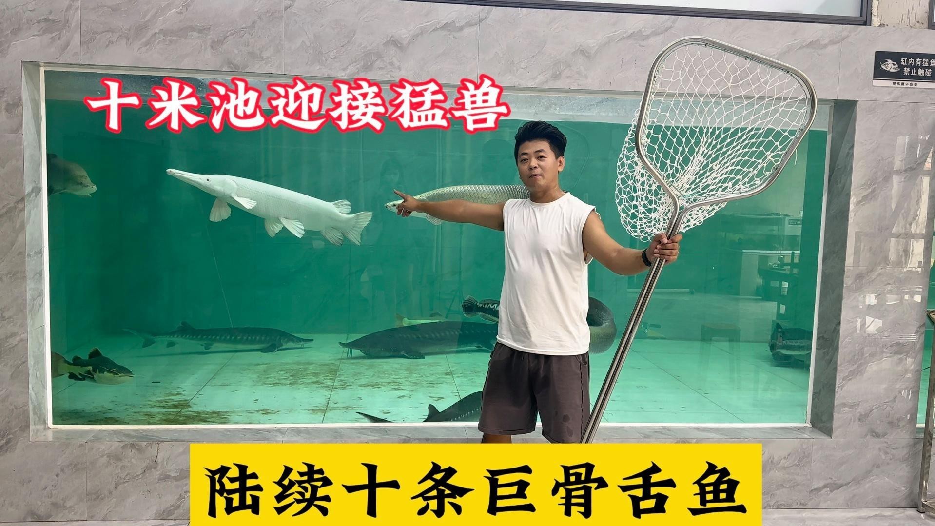 愛養魚的龍龍視頻合集【《愛養魚的龍龍視頻合集》】