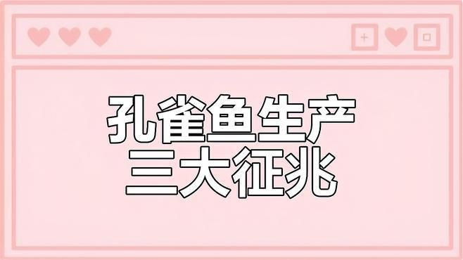 母魚下崽前兆是怎樣的【如何判斷孔雀魚母魚生小魚的三大征兆】
