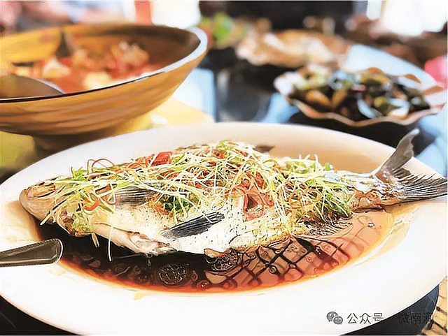 南澗龍魚店【南澗龍魚店的具體位置在哪里】