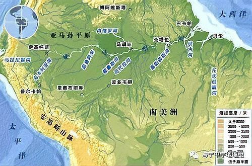 電鰻vs食人魚【電鰻與食人魚的關系】