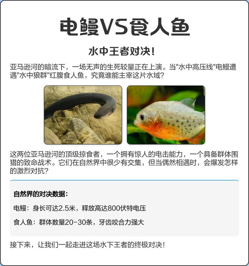 電鰻vs食人魚【電鰻與食人魚的關系】