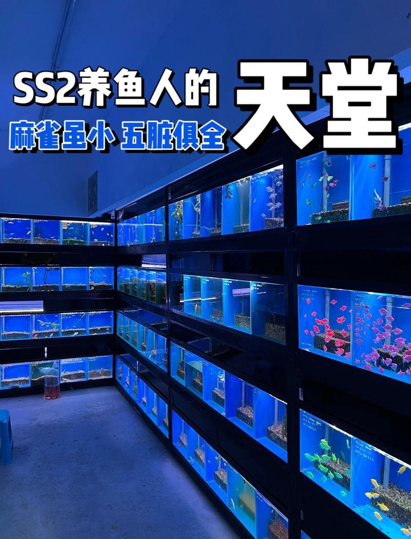 前鋒水族店【廣安前鋒區云貴水族館】