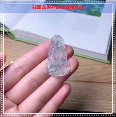 招財龍是什么魚【招財龍魚在風水上有福星高照、吉祥如意與觀賞價值的象征】