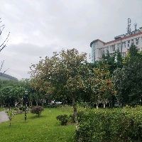 魚化龍辟邪還是招鬼【魚化龍：傳統紋樣的深層寓意與特色魚化龍寓意與現代啟示】