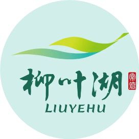 魚化龍辟邪還是招鬼【魚化龍：傳統紋樣的深層寓意與特色魚化龍寓意與現代啟示】