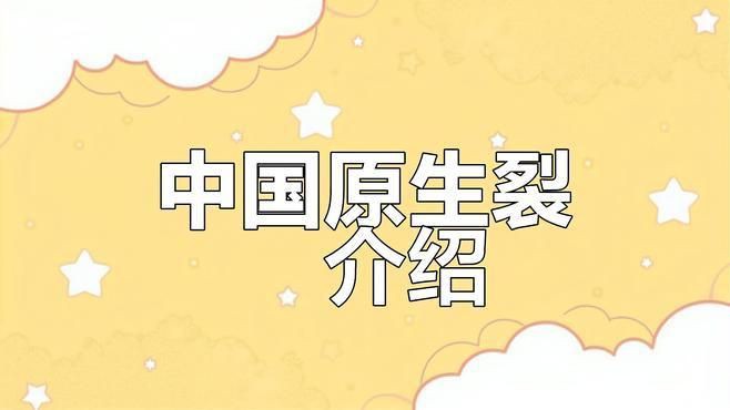 鱲魚品種大全【烏云快走開溪流三兄弟大揭秘:馬口、寬鰭鱲與長鰭鱲如何區分】