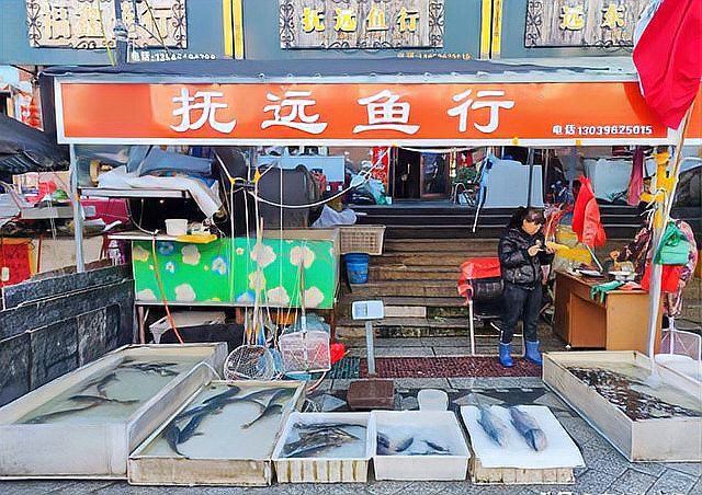 撫遠水族店【佳木斯森森水族(撫遠經營店)】