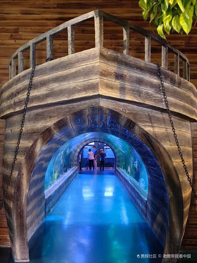 撫遠水族店【佳木斯森森水族(撫遠經營店)】
