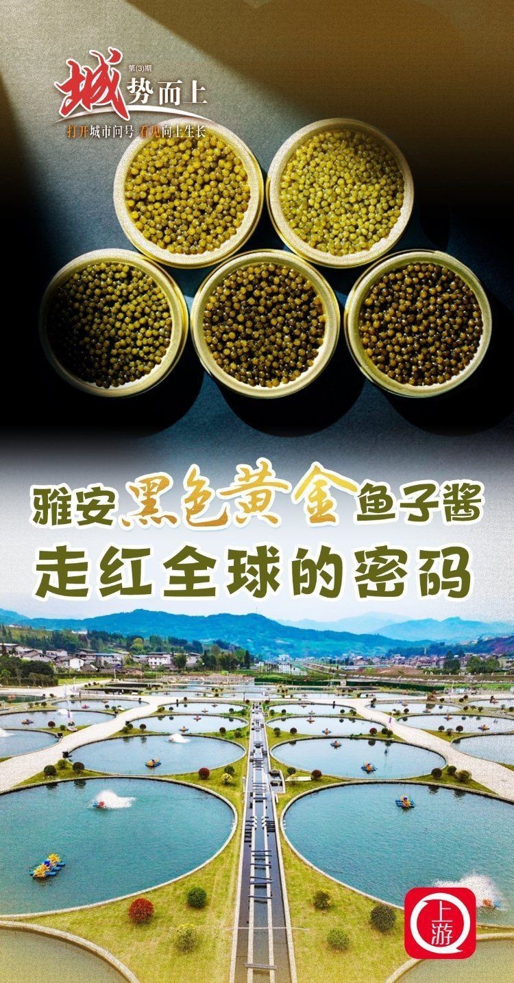 雅安魚缸批發(fā)市場【雅安市人民政府打造升級(jí)版外貿(mào)助力“五雅”特色農(nóng)業(yè)高質(zhì)量發(fā)展】