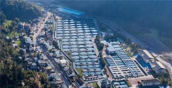 雅安魚缸批發(fā)市場【雅安市人民政府打造升級(jí)版外貿(mào)助力“五雅”特色農(nóng)業(yè)高質(zhì)量發(fā)展】