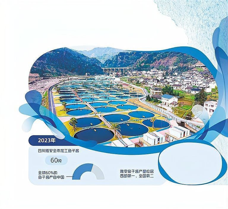 雅安魚缸批發(fā)市場【雅安市人民政府打造升級(jí)版外貿(mào)助力“五雅”特色農(nóng)業(yè)高質(zhì)量發(fā)展】