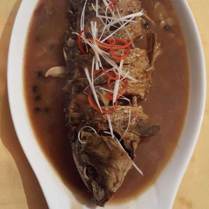 雙塔龍魚店【雙塔龍魚店即朝陽市雙塔區(qū)龍祥居龍魚會館的觀賞魚零售業(yè)務(wù)】