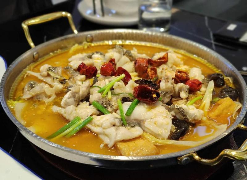 雙塔龍魚店【雙塔龍魚店即朝陽市雙塔區(qū)龍祥居龍魚會館的觀賞魚零售業(yè)務(wù)】