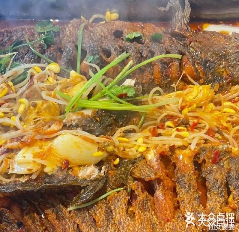 北湖龍魚店【北湖龍魚店主營高端龍魚及各類配魚品種低價策略吸引顧客】
