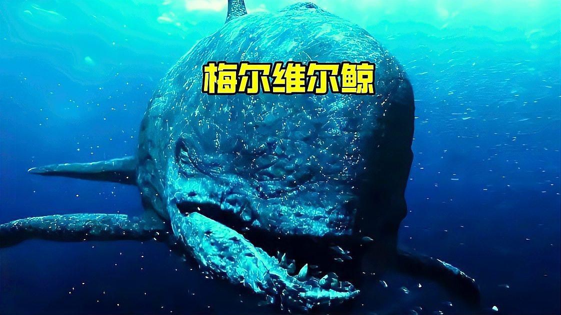 梅氏利維坦鯨【史前最恐怖的海洋暴君梅氏利維坦鯨,專門捕食遠古鯊魚!】