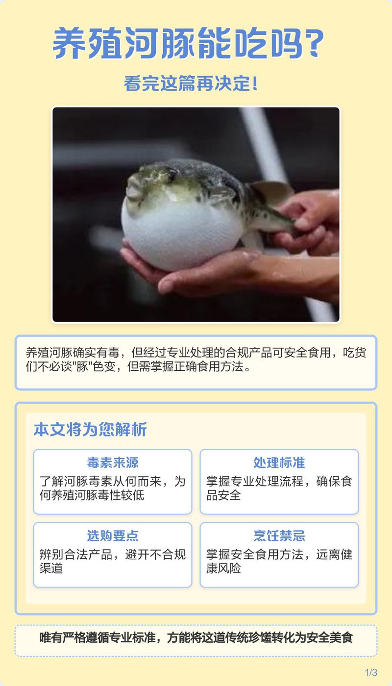 人工飼養(yǎng)河豚為何無毒【人工養(yǎng)殖河豚如何做到“無毒”狀態(tài)平凡的偉大夢想】