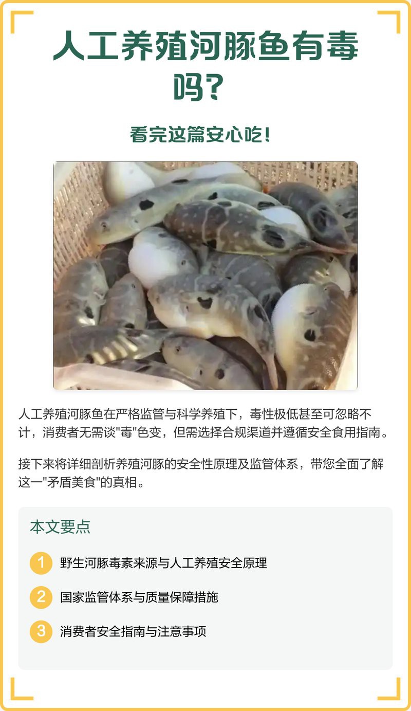 人工飼養(yǎng)河豚為何無毒【人工養(yǎng)殖河豚如何做到“無毒”狀態(tài)平凡的偉大夢想】