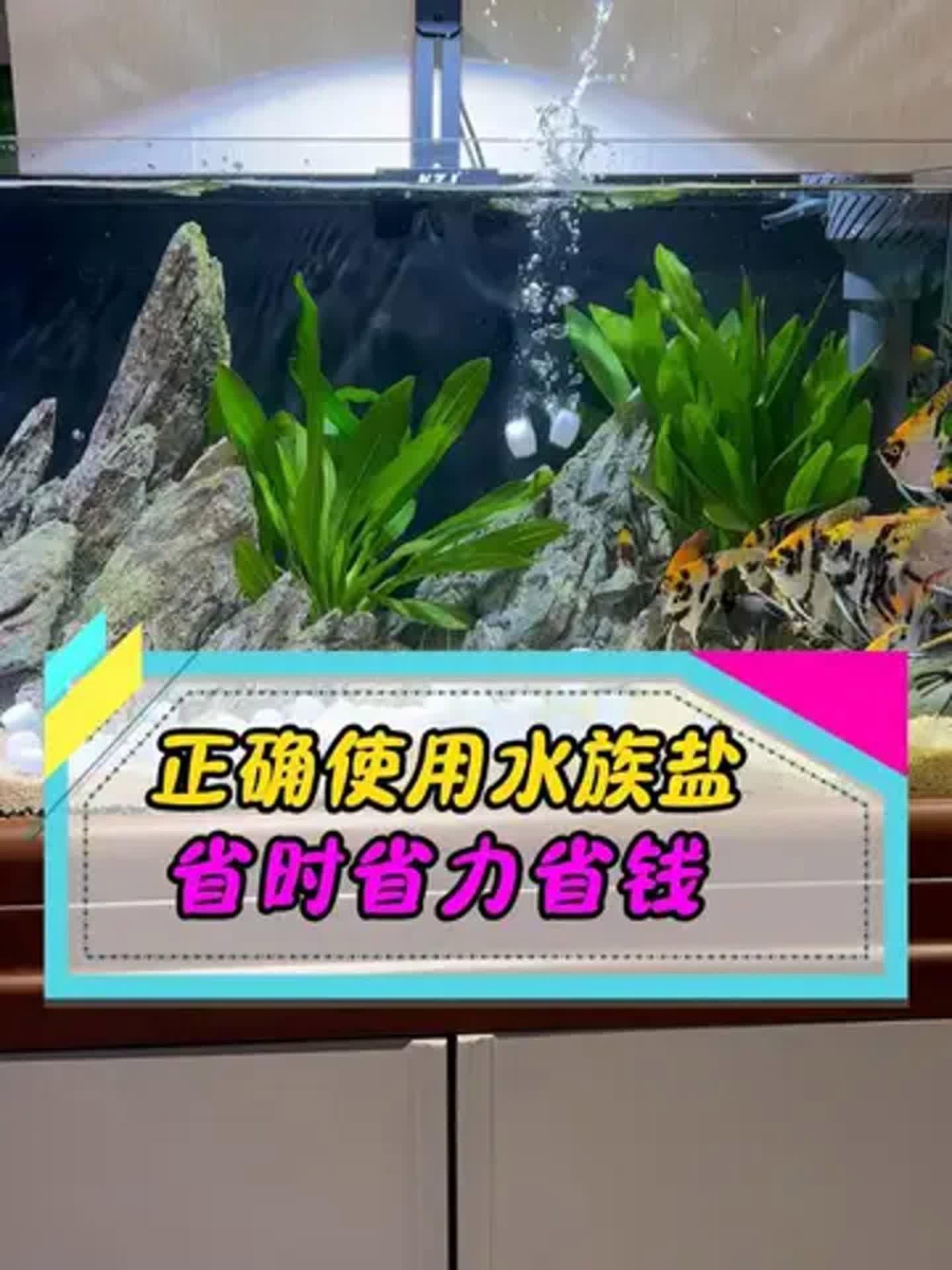 淡水魚缸100升水放多少鹽【淡水魚缸100升水放多少鹽總出錯學(xué)會這4步魚不爛尾、水不發(fā)臭】