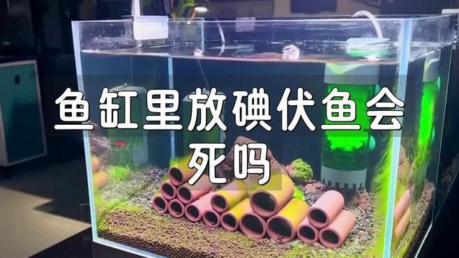 魚缸里滴了兩滴碘伏可以嗎【向魚缸中滴入兩滴碘伏是否可行】