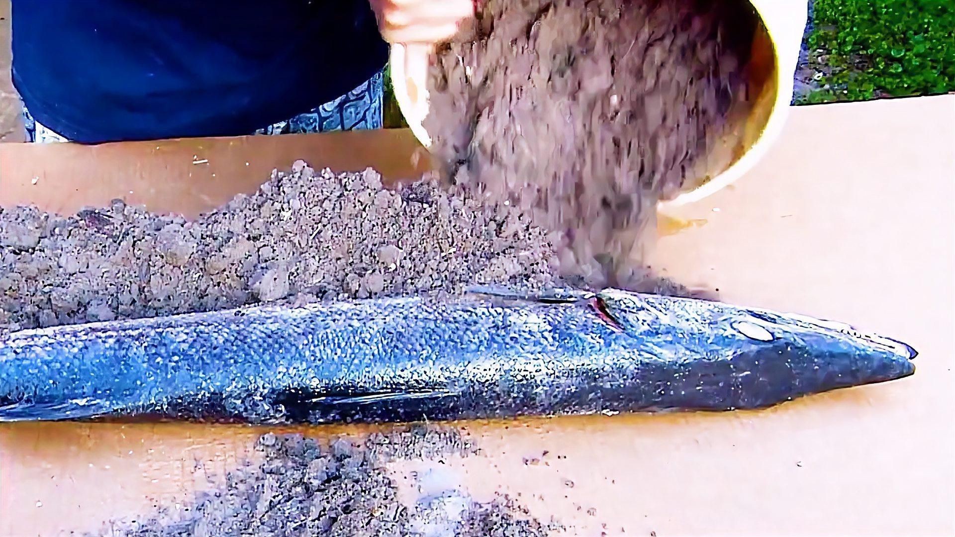 魚死了如何妥善處理尸體？【犧牲滴小魚如何處理一條魚一朵鮮花歸宿一盆花一個靈魂守護】