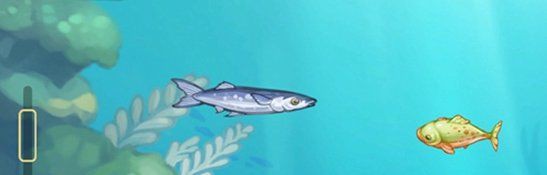 魚死了如何妥善處理尸體？【犧牲滴小魚如何處理一條魚一朵鮮花歸宿一盆花一個靈魂守護】