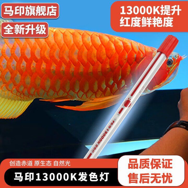 馬印燈最簡單畫法大全圖片【《馬印燈最簡單畫法大全圖片》】