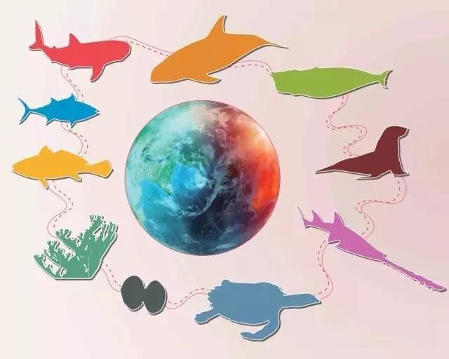 哪些魚(yú)是國(guó)家保護(hù)動(dòng)物【中國(guó)部分國(guó)家級(jí)保護(hù)野生動(dòng)物名錄及簡(jiǎn)介】