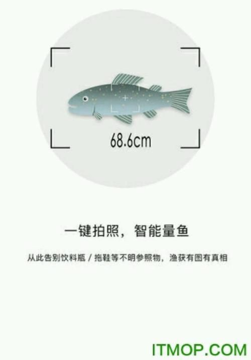 掃一掃看圖識魚【《掃一掃看圖識魚》主流魚類識別軟件的特點對比】 掃一掃看圖識魚【《掃一掃看圖識魚》主流魚類識別軟件的特點對比】 龍魚百科 第7張