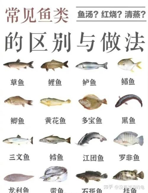 掃一掃看圖識魚【《掃一掃看圖識魚》主流魚類識別軟件的特點對比】 掃一掃看圖識魚【《掃一掃看圖識魚》主流魚類識別軟件的特點對比】 龍魚百科 第20張