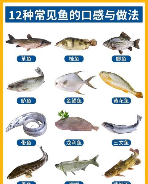 掃一掃看圖識魚【《掃一掃看圖識魚》主流魚類識別軟件的特點對比】 掃一掃看圖識魚【《掃一掃看圖識魚》主流魚類識別軟件的特點對比】 龍魚百科 第22張