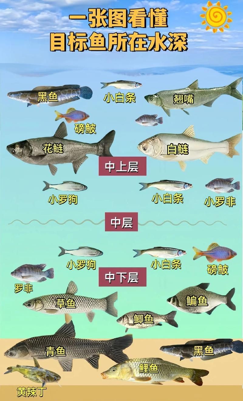 掃一掃看圖識魚【《掃一掃看圖識魚》主流魚類識別軟件的特點對比】 掃一掃看圖識魚【《掃一掃看圖識魚》主流魚類識別軟件的特點對比】 龍魚百科 第10張