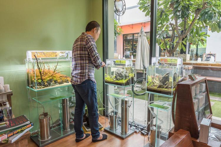 延長水族店【《延長水族店》】