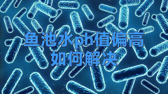 瑪麗魚水質ph值怎么調整【瑪麗魚ph值如何調節水質酸堿平衡技巧大公開】