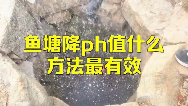 瑪麗魚水質ph值怎么調整【瑪麗魚ph值如何調節水質酸堿平衡技巧大公開】