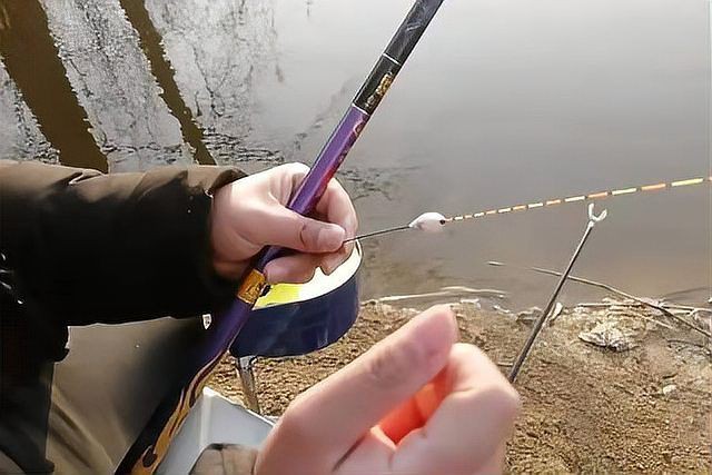魚浮頭是什么樣子【中國(guó)鰻魚網(wǎng)，池塘魚浮頭是什么原因如何處理】