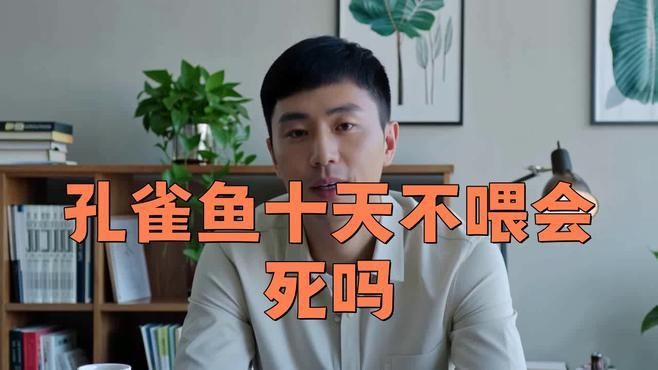 有哪些適合10天不喂的魚？【有哪些適合10天不喂的魚】
