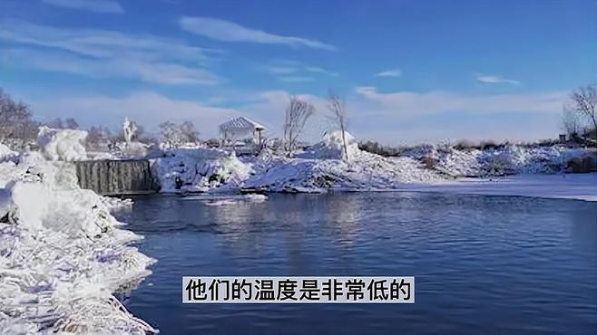 東北的三道鱗魚是什么魚【三道鱗魚是什么魚】