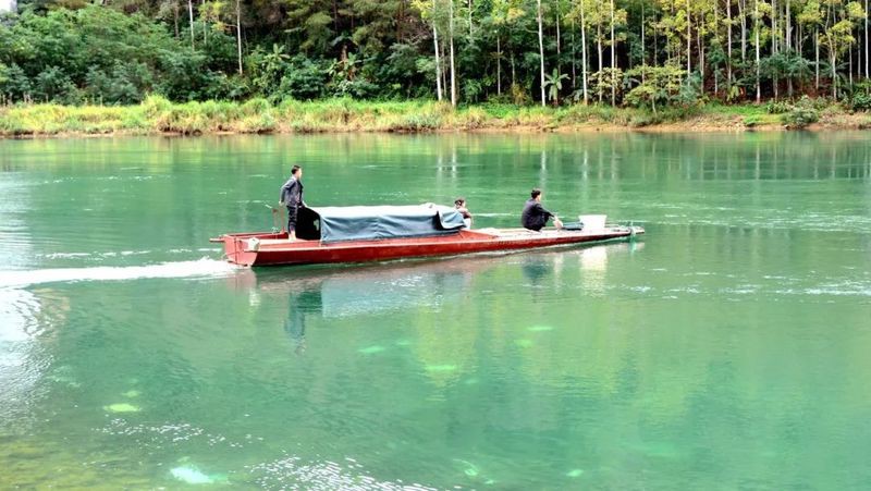 冊亨龍魚店【冊亨縣有龍魚店嗎】