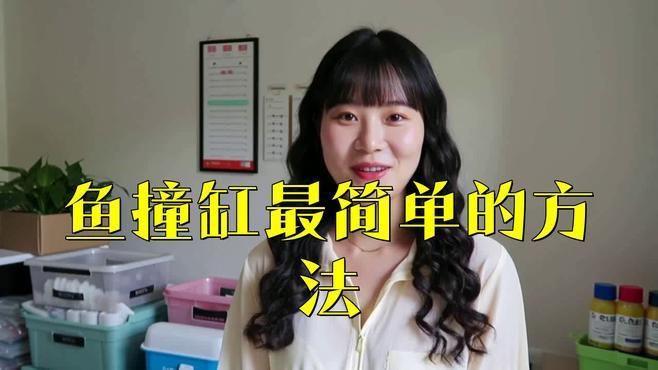 魚撞缸最佳處理方法【《魚撞缸最佳處理方法》觀賞魚蹭缸的原因及解決辦法】