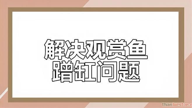 魚撞缸最佳處理方法【《魚撞缸最佳處理方法》觀賞魚蹭缸的原因及解決辦法】