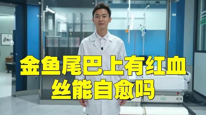 魚尾充血一般多久能好？【魚尾上有紅血絲能自愈嗎】