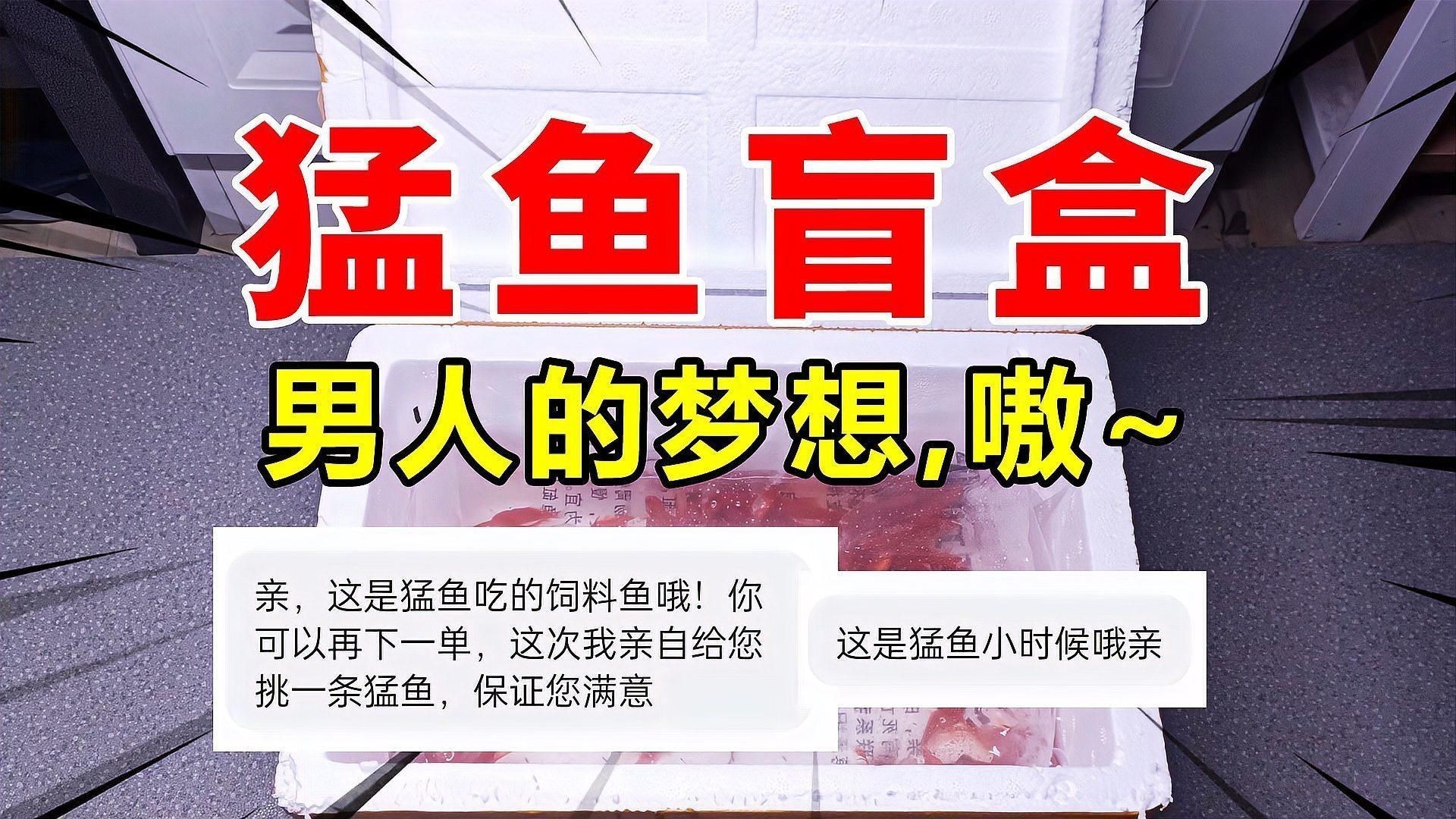 猛魚盲盒【300元網購10個猛魚盲盒，竟開出兇險食人魚】