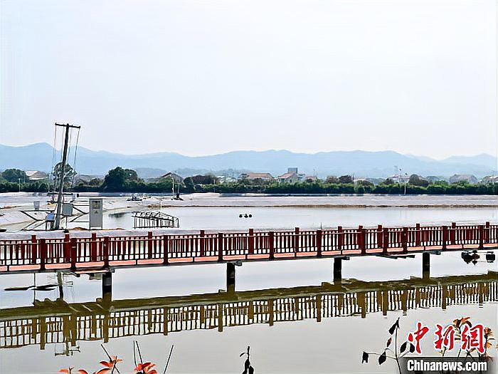 桃江龍魚店【桃江有哪些知名的龍魚養殖戶】 桃江龍魚店【桃江有哪些知名的龍魚養殖戶】 全國水族館企業名錄 第1張