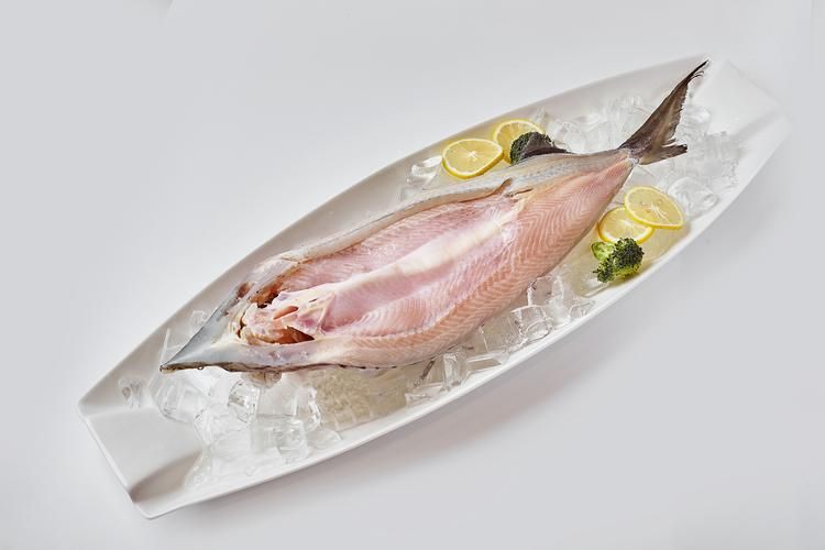 鱘龍魚圖片【中國新聞網,魚界大熊貓——鱘龍魚養殖“鱘”出致富新路】