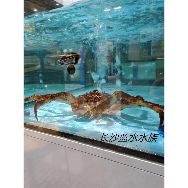 湘潭魚缸定做【湘潭地區魚缸定做服務豐富多樣上門定做魚缸避坑指南】