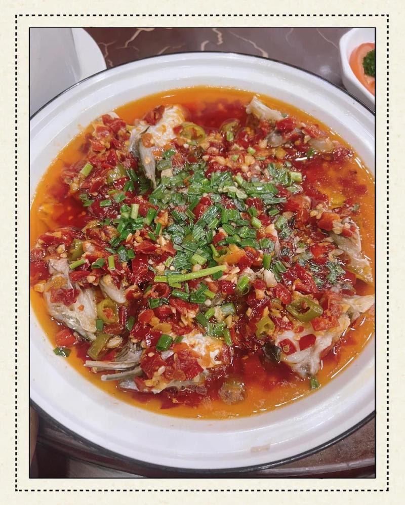 五華龍魚店【五華龍魚店哪家口碑最好】