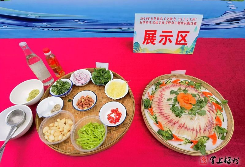 五華龍魚店【五華龍魚店哪家口碑最好】