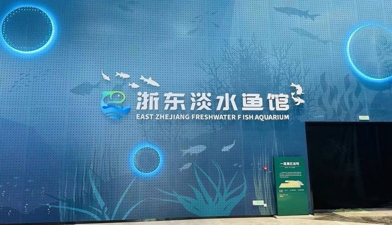 新晃水族店【新晃水族店的經營狀況如何】